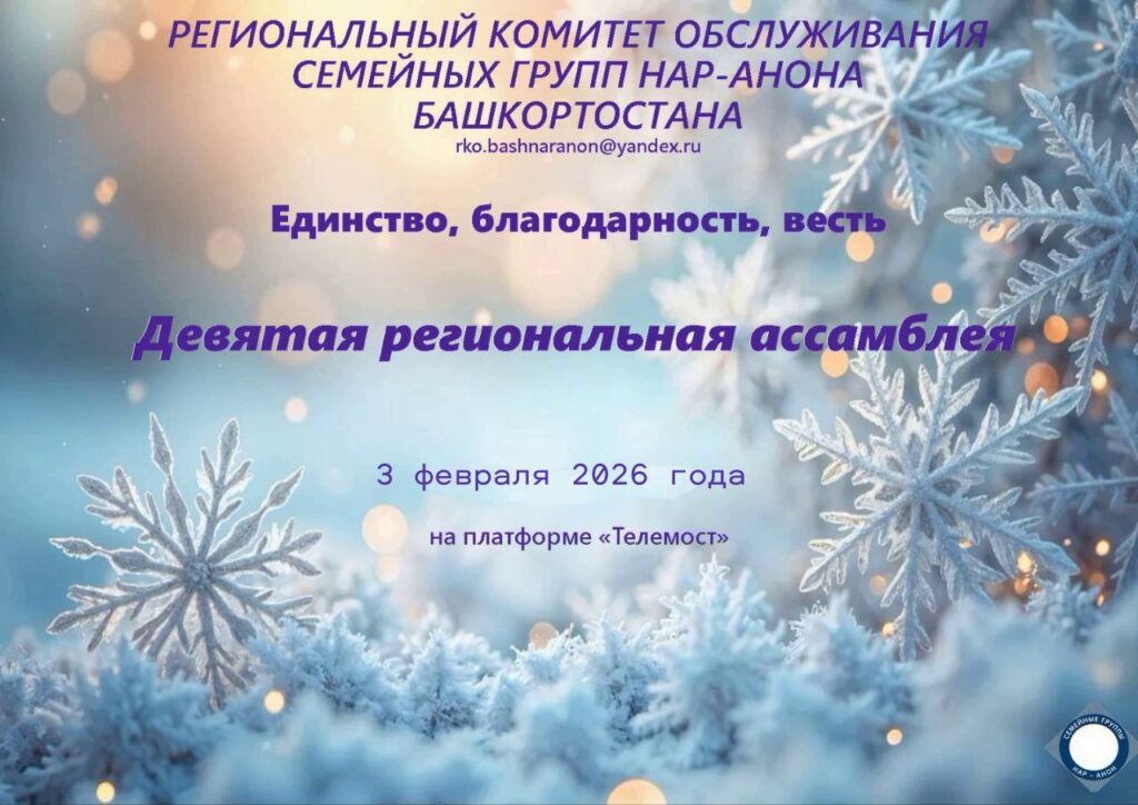 Девятая региональная ассамблея